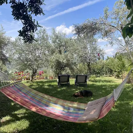 Apartament Lefkada